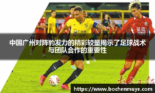 333体育官网